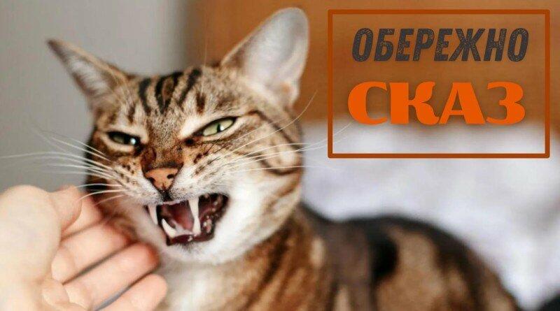 ����: 0462.ua