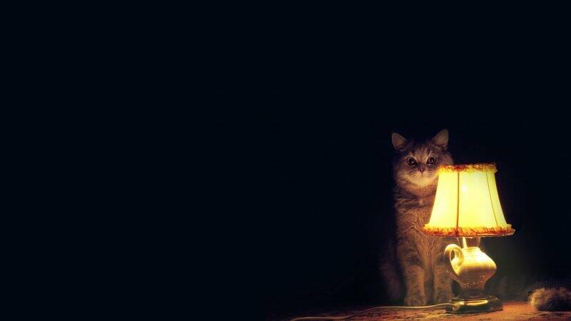  ����������� ��������� ����������������� ����� 