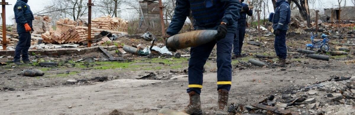  ���� ���������� ����������� ������� �������� 235 ����������������� �������� 