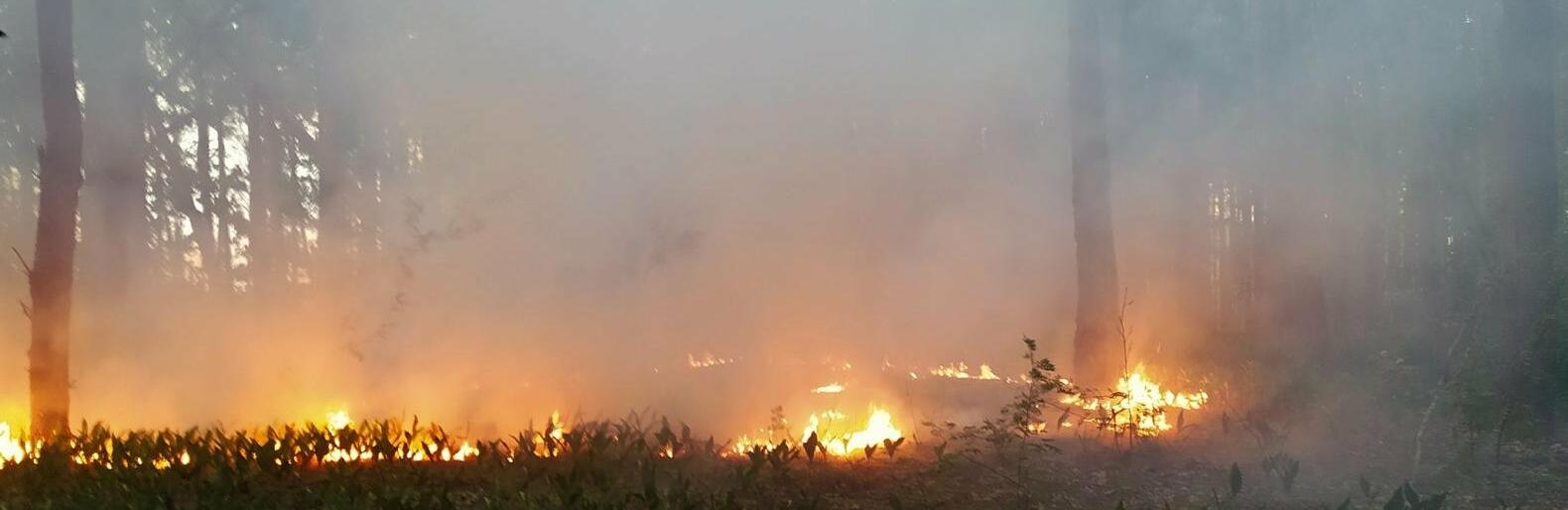  ����������� ������� ������� ������� ����� ������ �� 