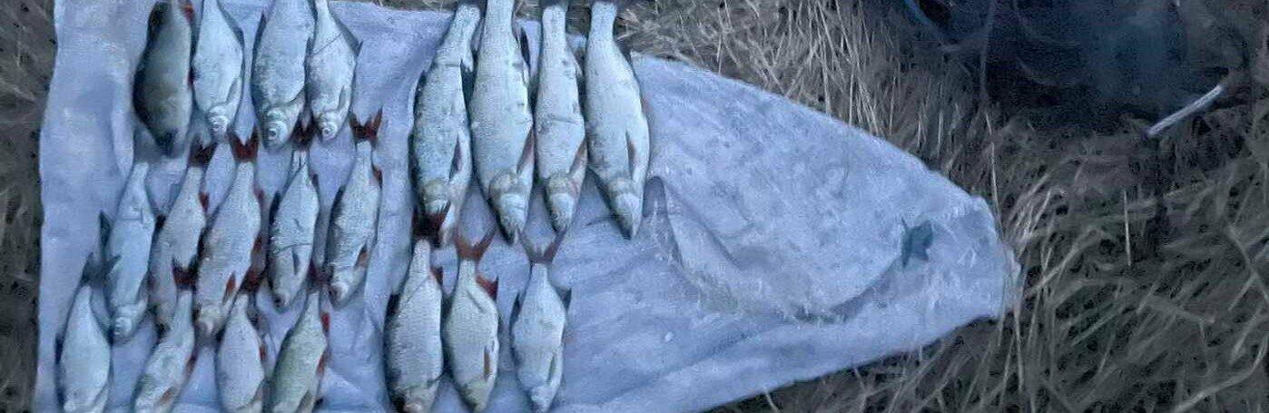 ����: 0462.ua