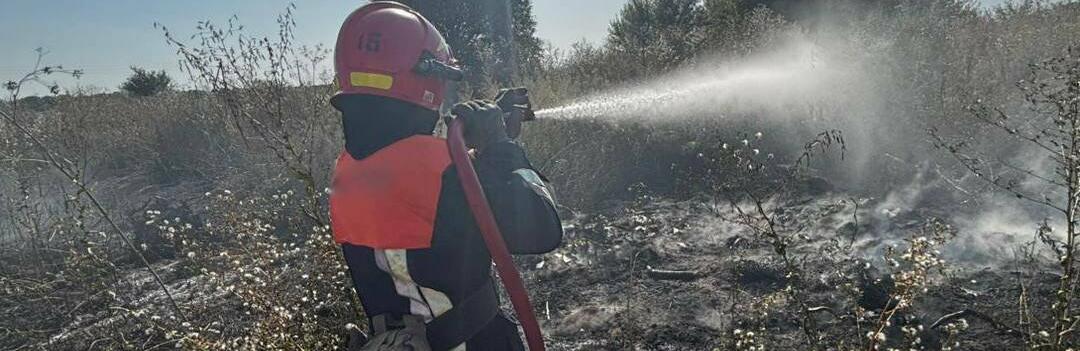  ����������� ���� ����������� ����� ����������� 