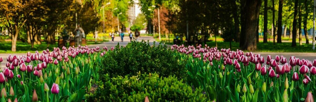 ����: 0462.ua