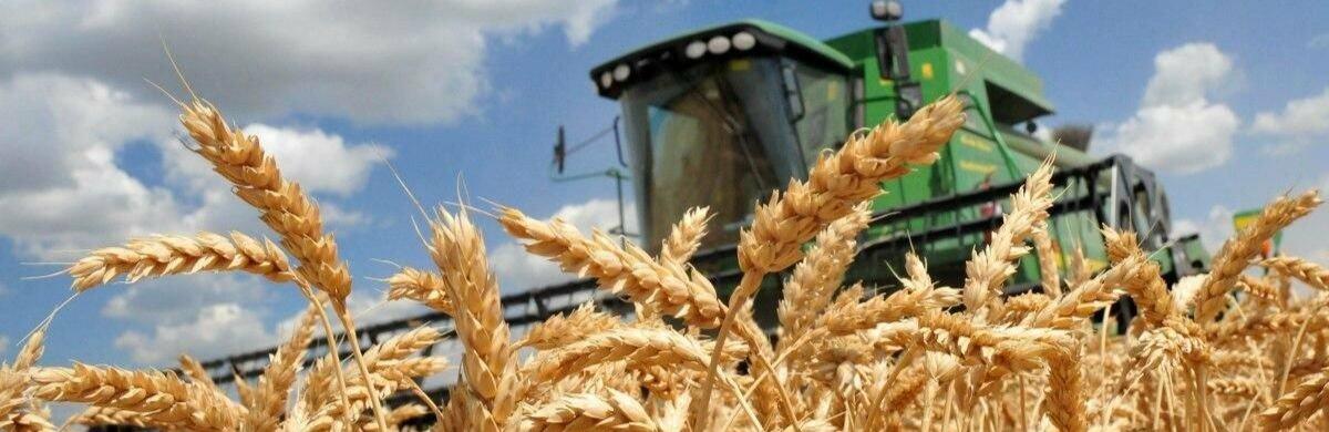 ����: 0462.ua