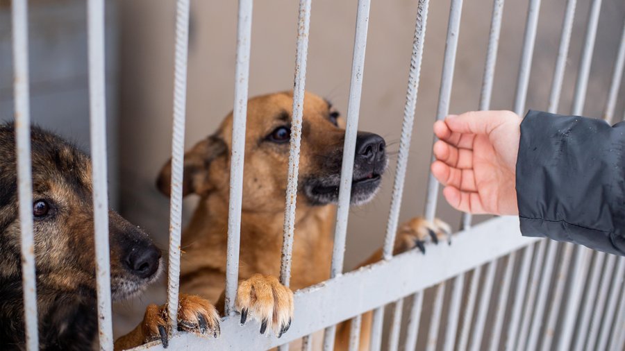  ����������� ����� ���������� �������� ������������� �������� 