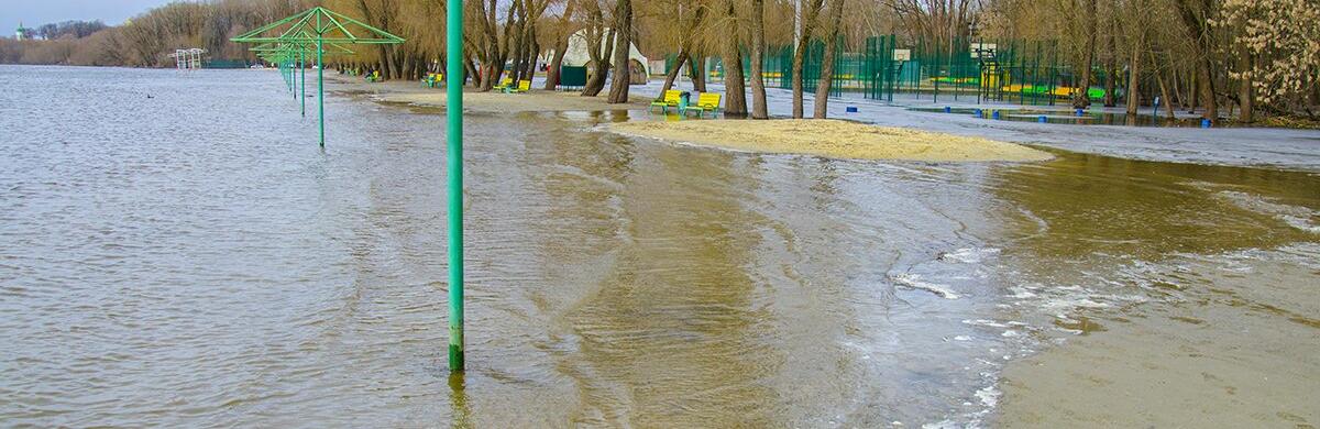  ������ ���� �������� �������� �������� ���� ������� ����� 