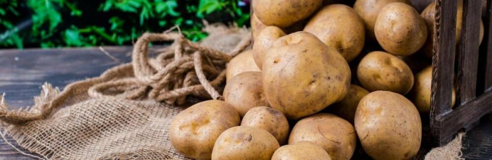  ����������� ������ ����� ����������� ��������� �������� 