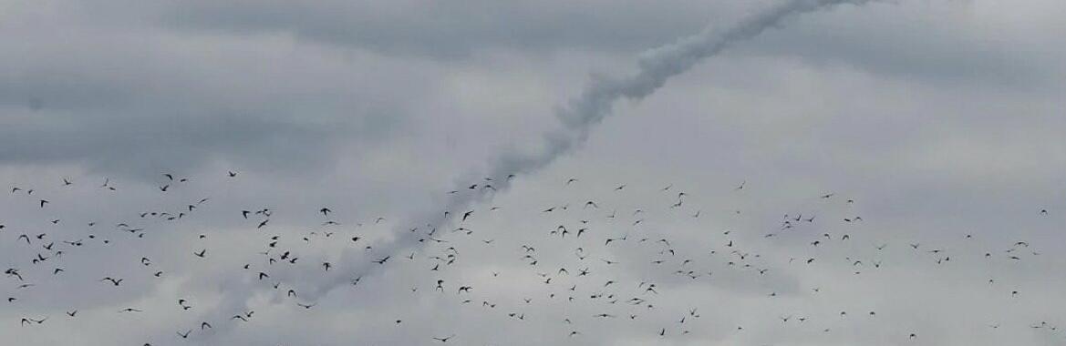  ��������� ������ ����������� ����� �������� �������� ������ ������ 