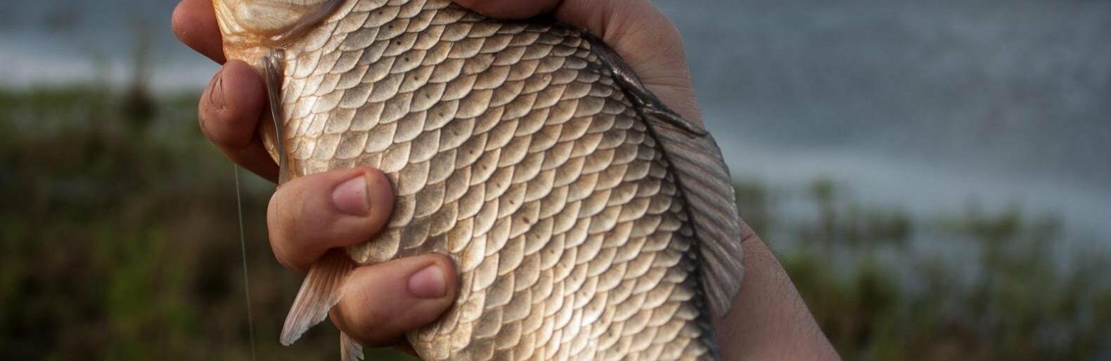 ����: 0462.ua