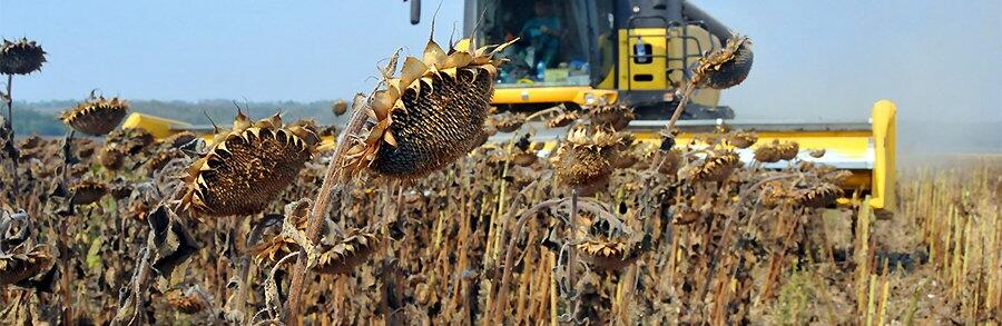  �������� �������� ������ ��� ���� �������� ����������� �������� 