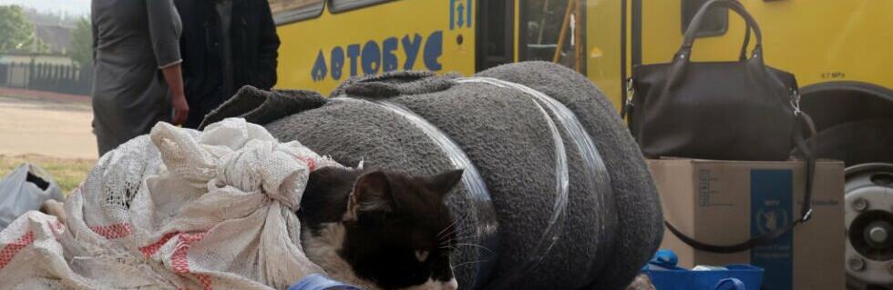 ����: 0462.ua