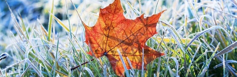  ������ ��������� �������� ������ ��������� ����� ������������ 