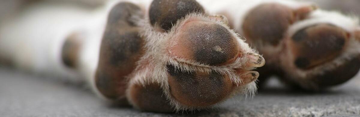  �������� ����������� ���������� ������� ���� ��������� ������ 