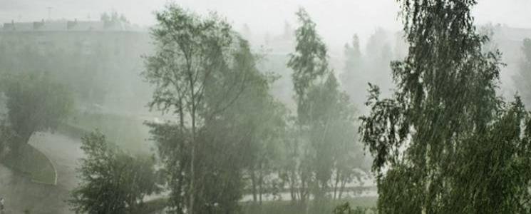  ������������ ������� ����������� �������� 