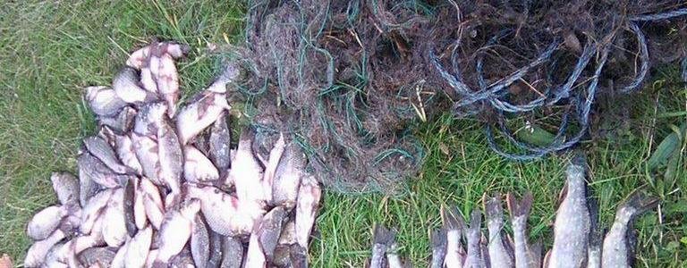 ����: 0462.ua