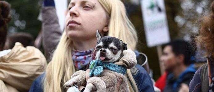  ���� ��� ��������� ���� ����� ������ 