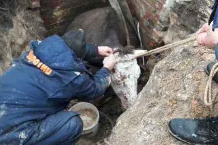  ������������ ������� ��������� ��� ����������� ������ 