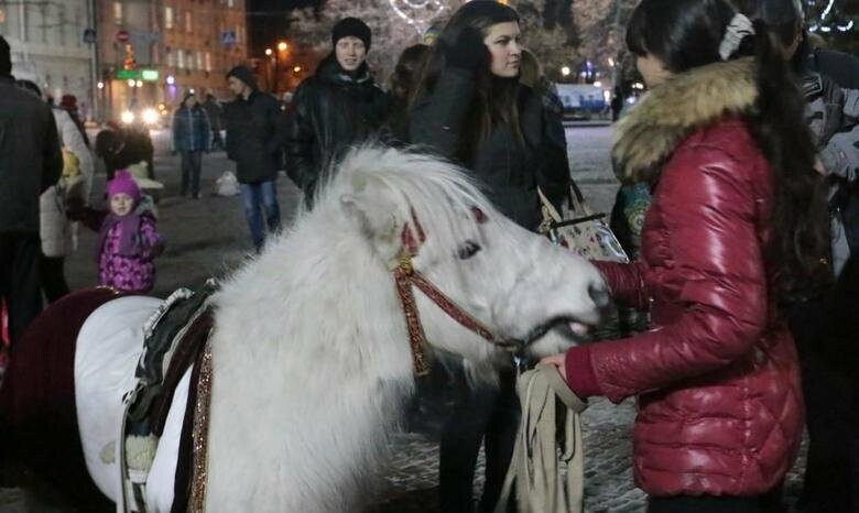  ������������ ���� ����������� ������ ������ ����������� ����� ��������� 