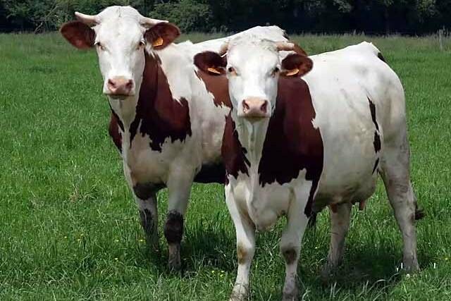  ���� ���� ������� ������ �������� �������� ������ ������ 