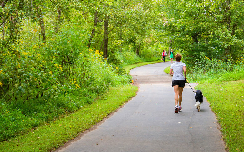  ���� ���� ������ �������������� ����� ����� 