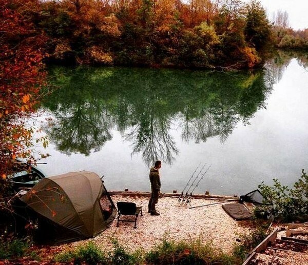  ������ ���� ����� ���������� ���� 