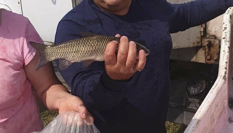  ��� ���� ���� ������ �������� ������ ������� ������������� 