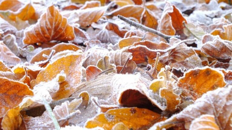  ���� ������� ��������� ��������� 