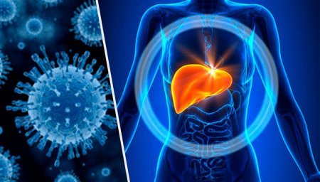 ����: 0462.ua