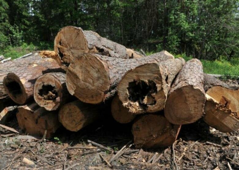  ����������� ����������� ������������� ������� ��������� ��� 