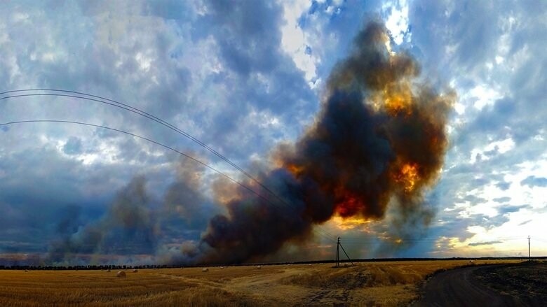  ���� ���� ����� ��� �������� ����� ���� ���� 