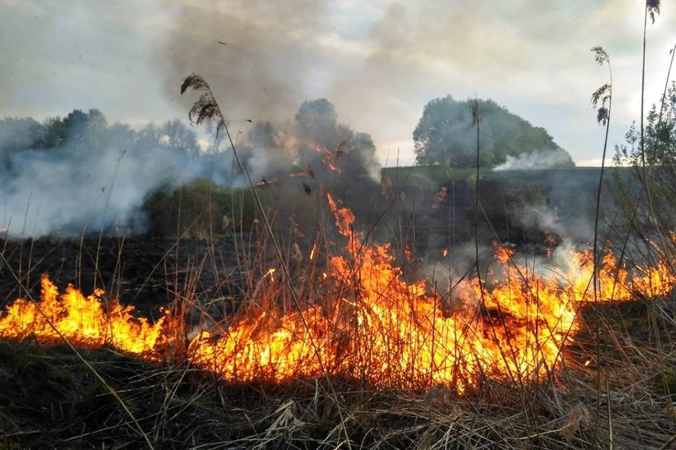  ���� ���� ����� ������� ��������� ������� ��������� 