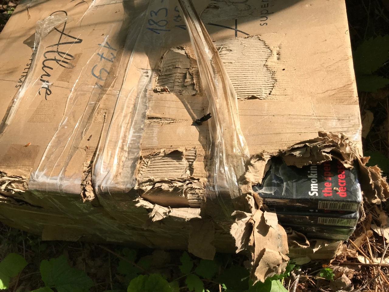  ������������ ���������-����������� ������� ��������� ����� ������� 