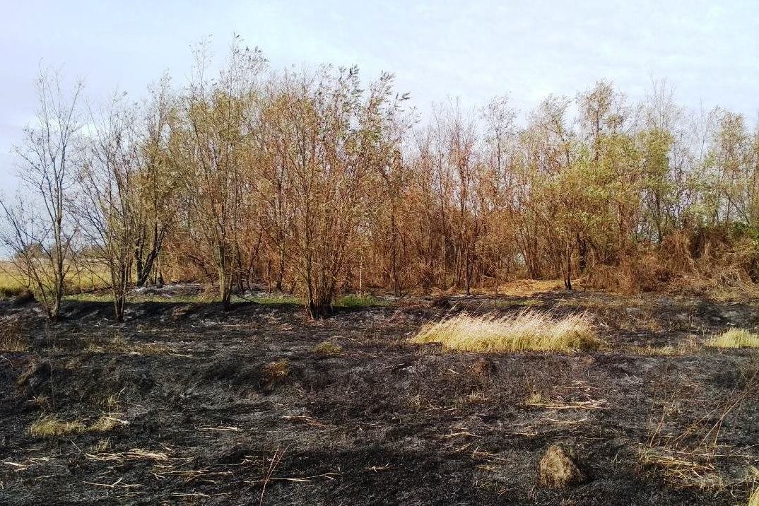 ����: 0462.ua