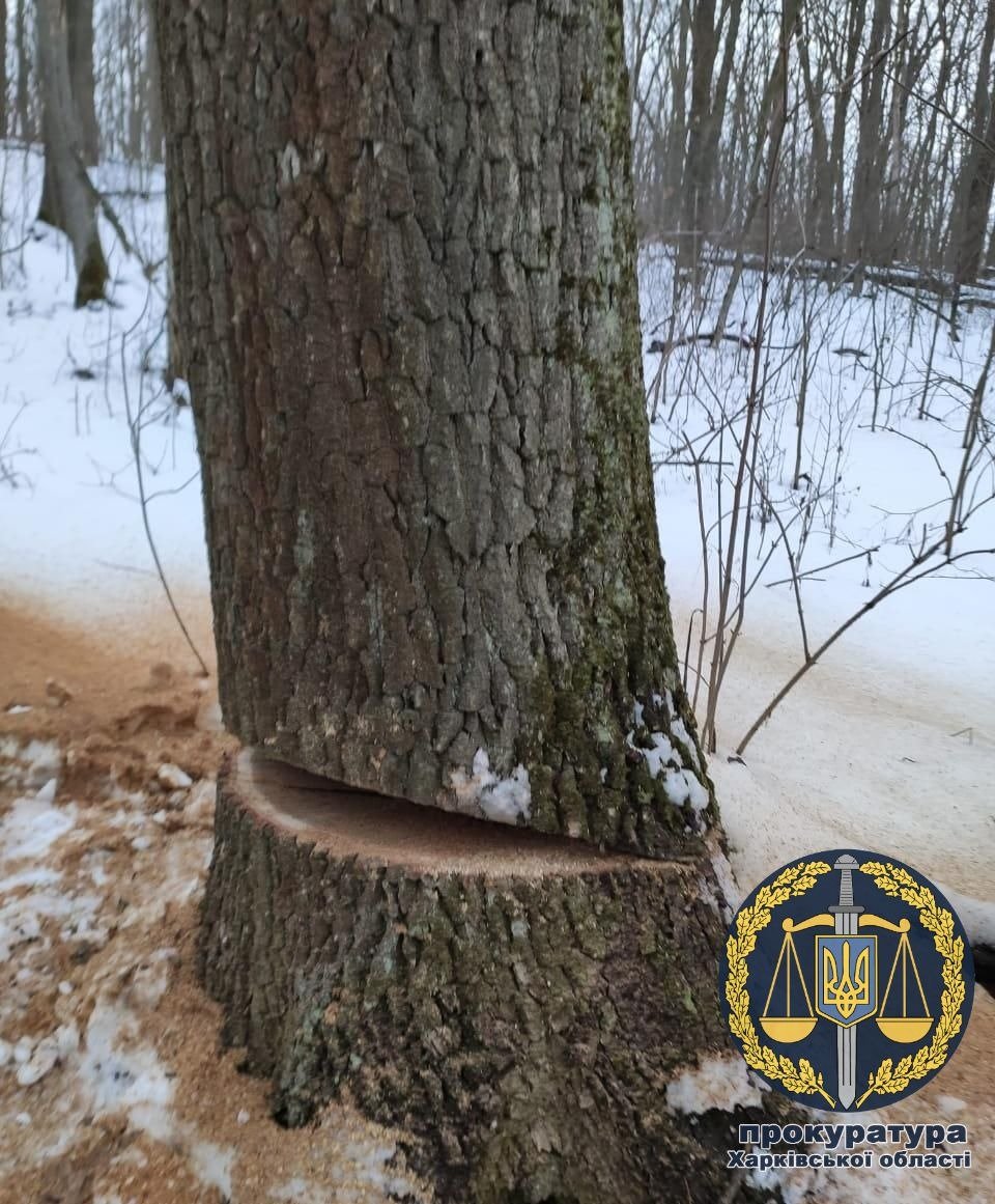  ������ ������������ ������ ��������� ����������� ����������� ������� 