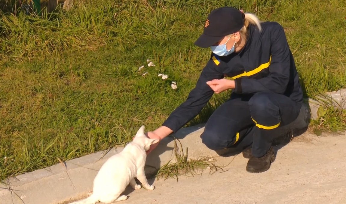  ���� ������� ������ ���� ���� ������������ ���� ���� 