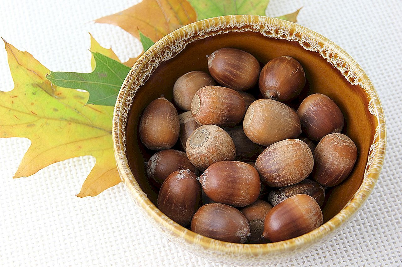  ��������� ��� ������ ���� ��� ���������� 