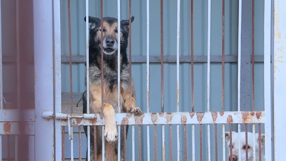  ��� ���� ������������� ��������������� ����� �� ��������� ������ 