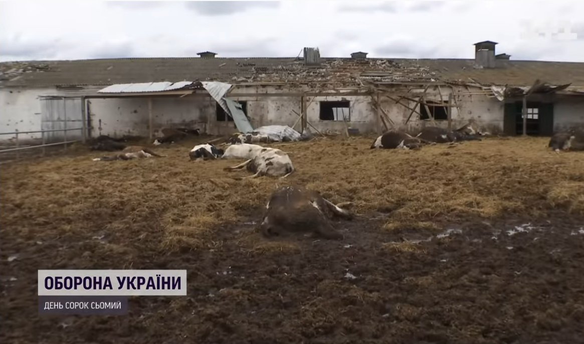 ����: 0462.ua