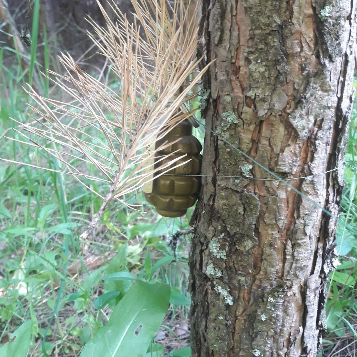  ��������� ����������� �� ������������ ������ ������� �������� �������� 