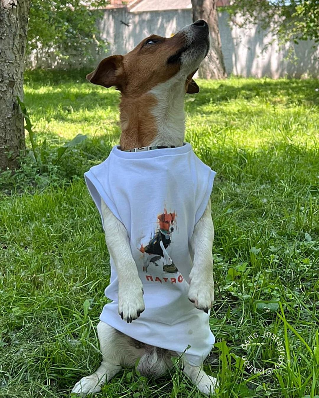  ���-����� ������ ����� �������� ��� ��������� �������� �� 