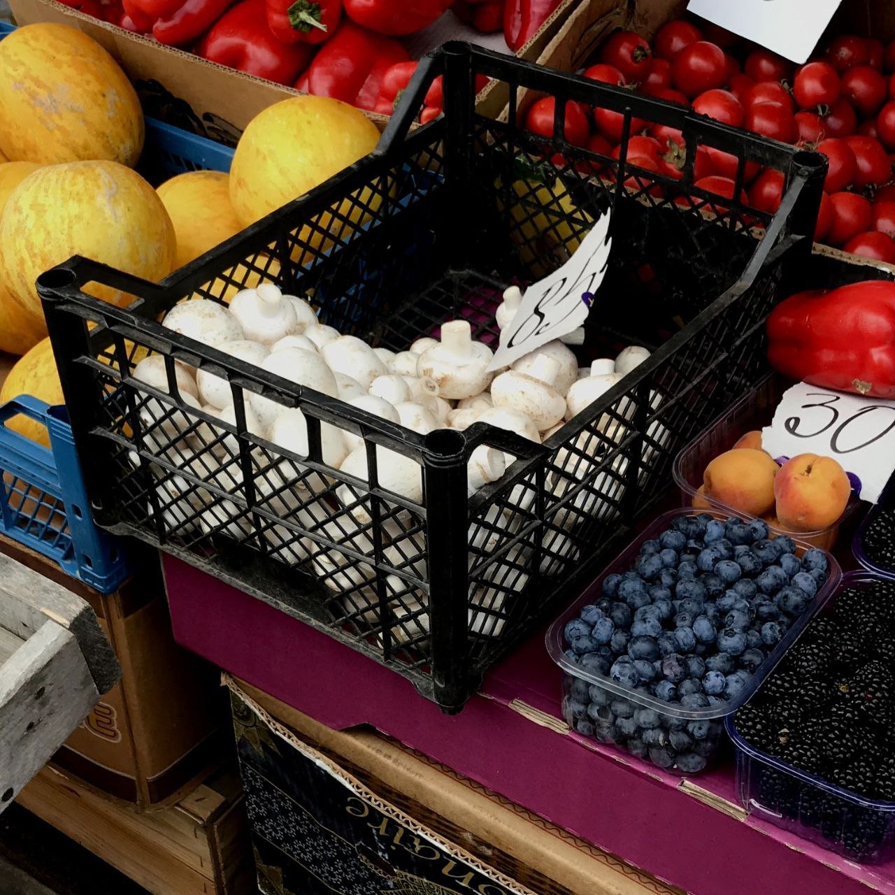  ���� ��������� ����� ����� ������ 