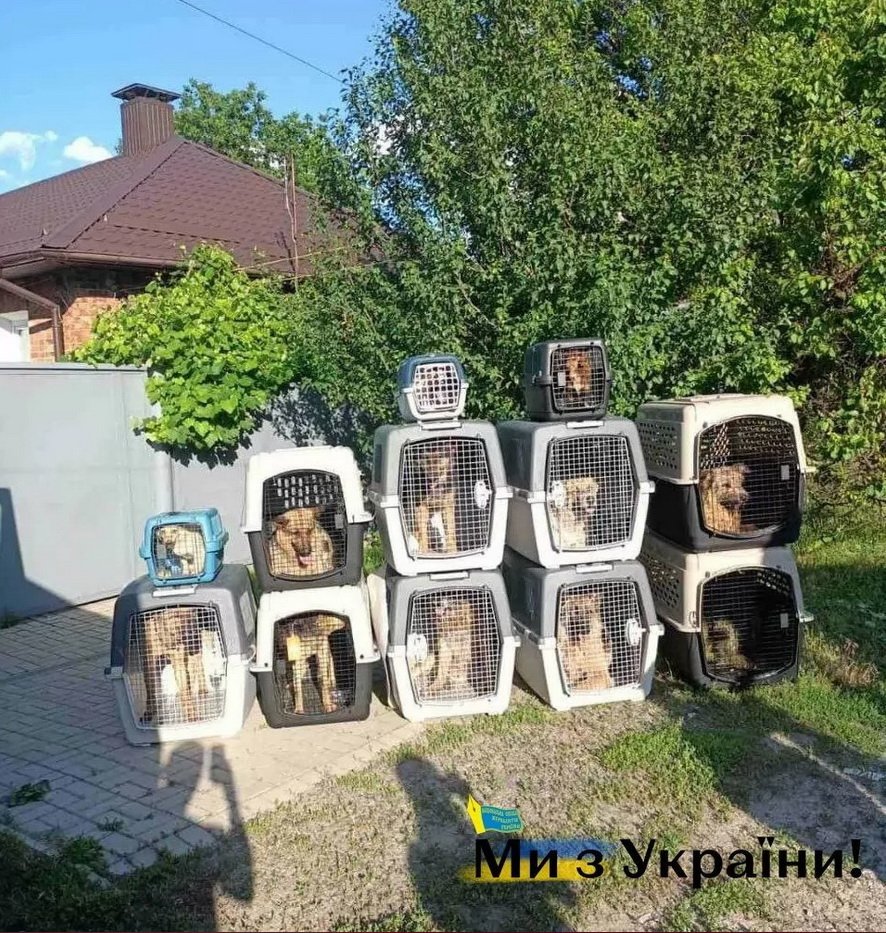  ���-������� ��������� ���������� ������� ����� ����� 200 ����� 