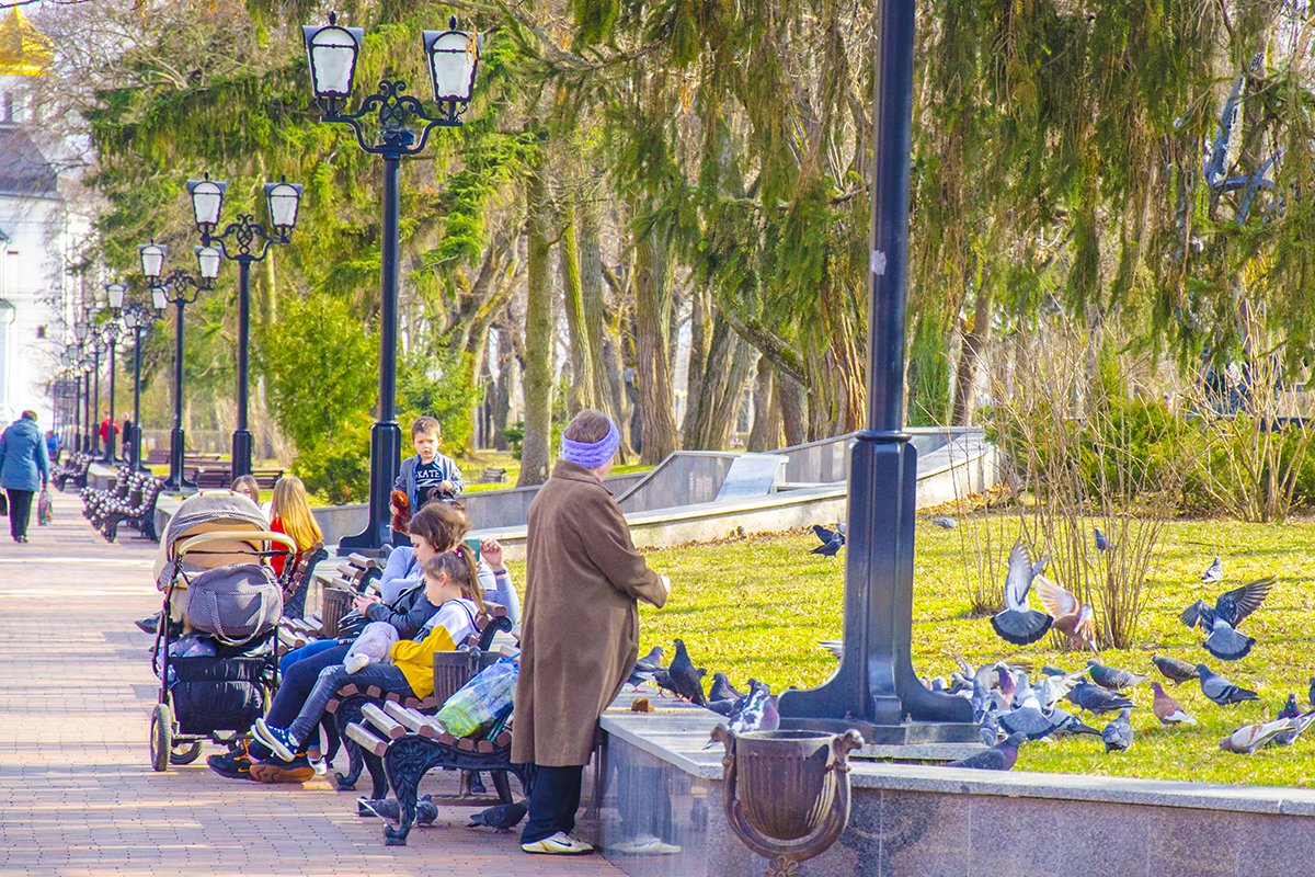  ������� ������� �������� ����� 