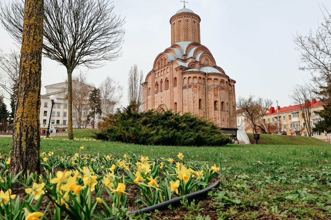  ������ �������� �������� ����� ������� ���������� 