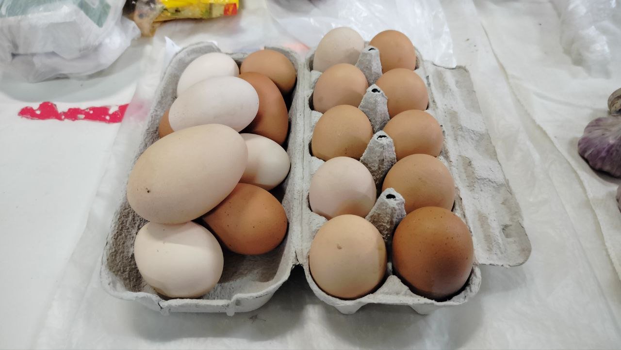  ������ ����� ��� ������ ����� ����� ��� ������������� 