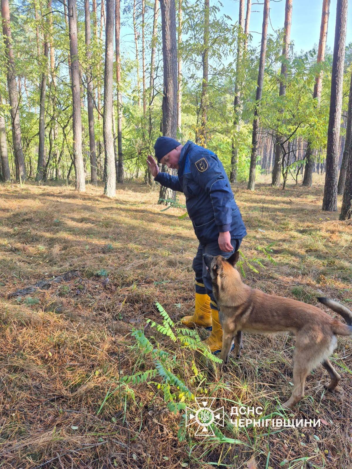 ����: 0462.ua