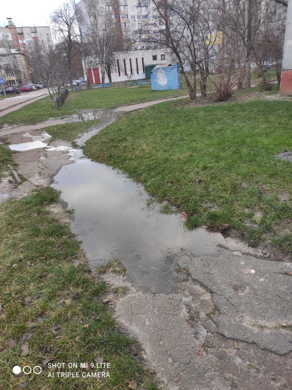  �������� ������� ��������� �������������� ���� ����� ������ 