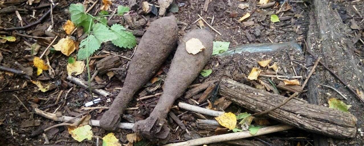  �������� ��������� ����������� ������������� ������� 