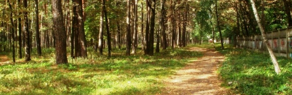 � ������� ���������� ���� �� ������� ������