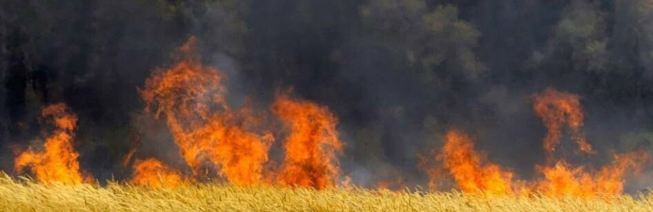  ������������ ������� ���� ������� 